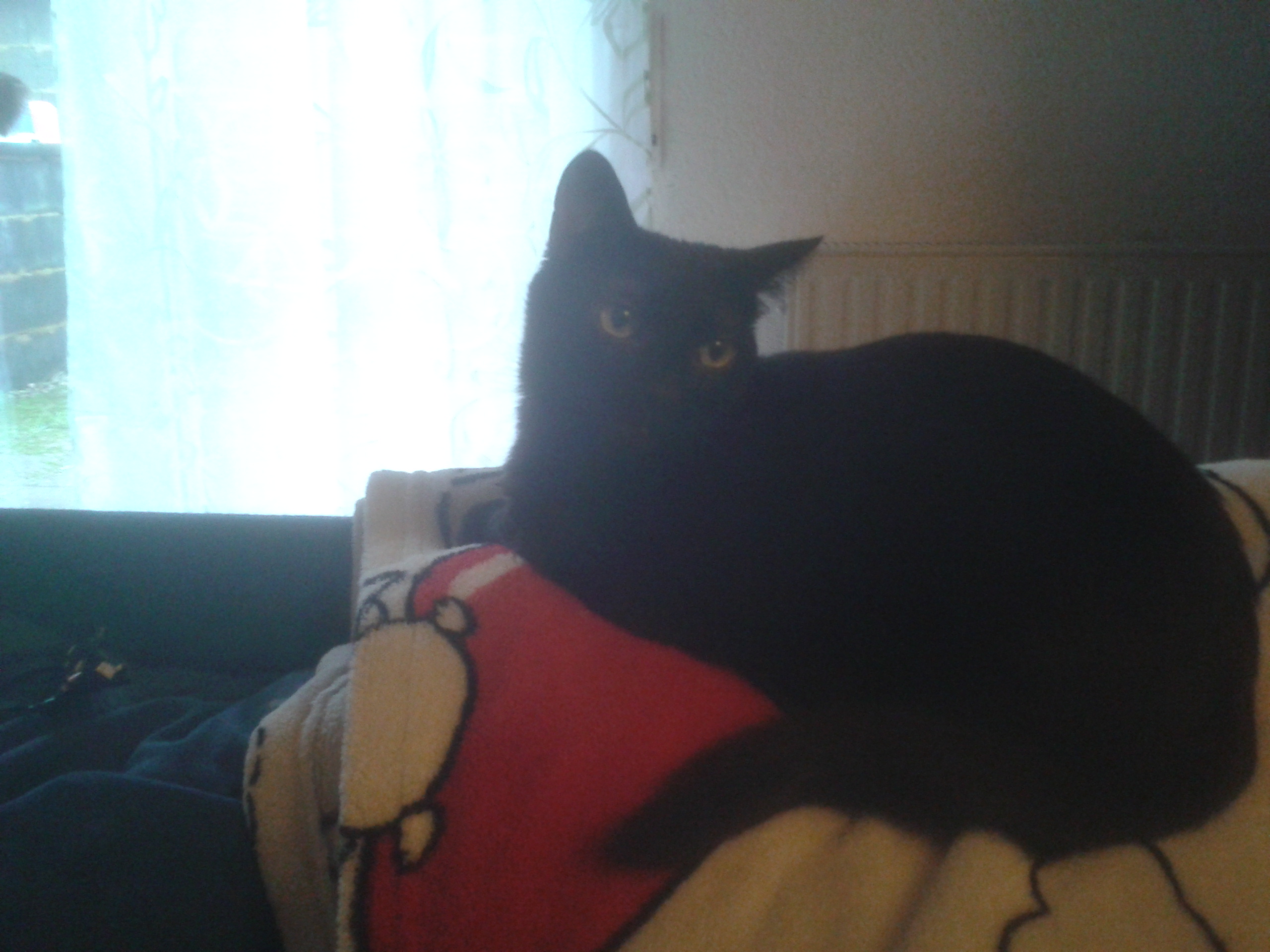 2018-02-03 10.40.50.jpg